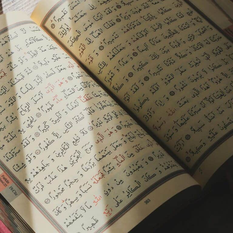 Open tajweed-coded Mushaf with color-marked Arabic calligraphy illuminated by natural sunlight