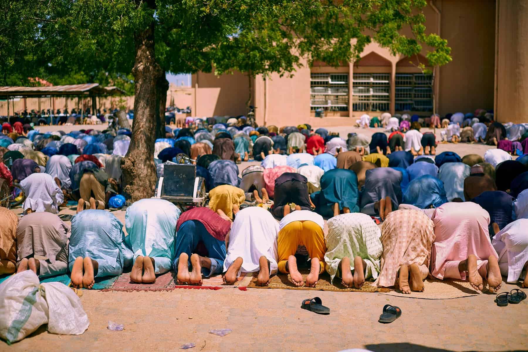 Large outdoor Eid prayer congregation in sujud under a tree, worshippers in colourful traditional clothing on prayer mats