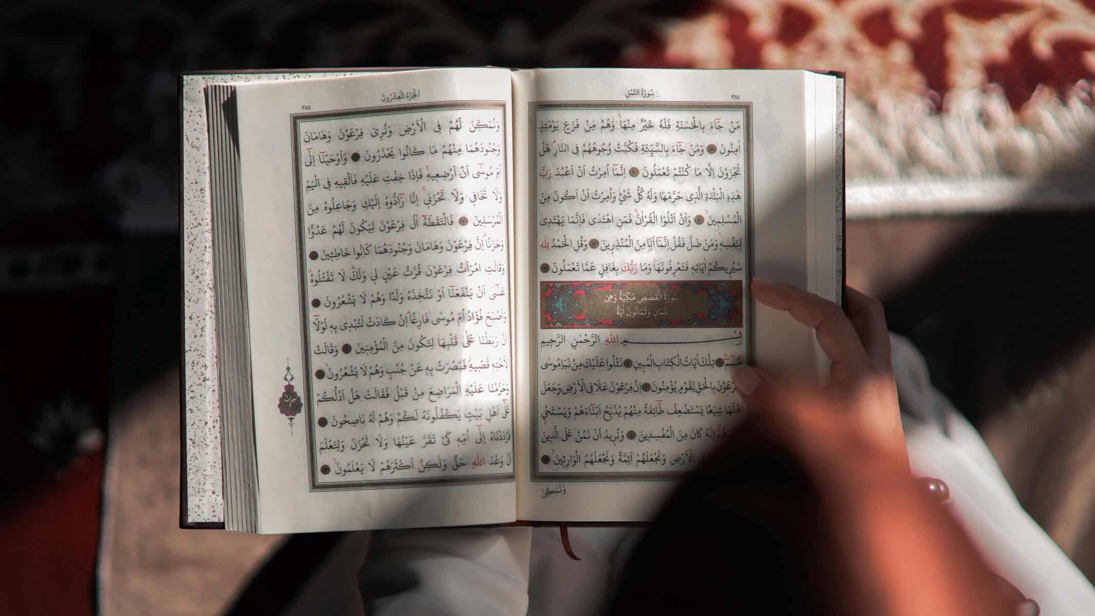 Person reading the opening of Surah Al-Qasas from the Mushaf with sunlight on the page