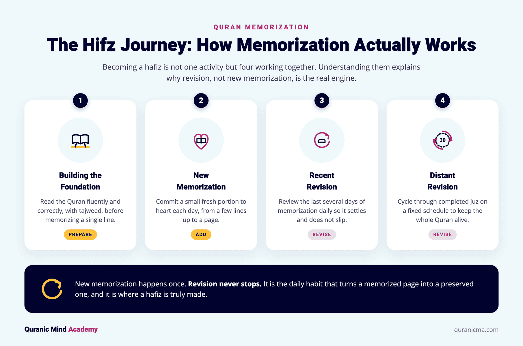 The four stages of the Hifz journey: building the foundation, new memorization, recent revision, and distant revision, with the note that revision never stops